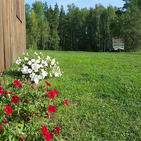 Priedisi Villa Aglona Oda fotoğraf